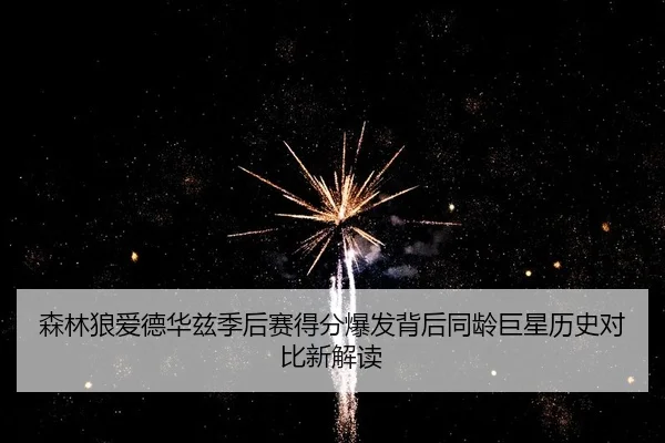 森林狼爱德华兹季后赛得分爆发背后同龄巨星历史对比新解读