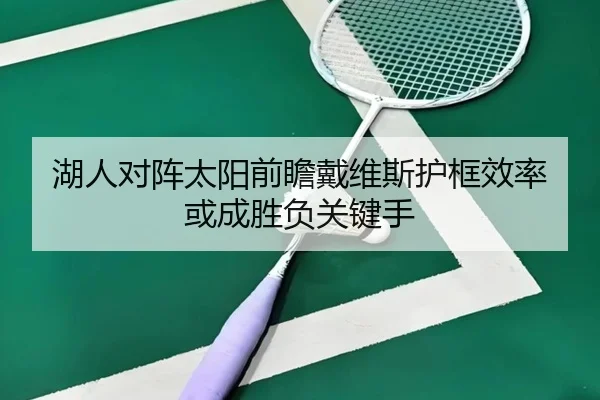 湖人对阵太阳前瞻戴维斯护框效率或成胜负关键手